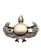 INSIGNE  BREVET  NEDEX -