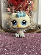 🌺Petshop Hibou 404🌺
