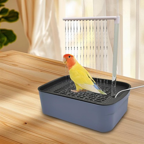 Baignoire perroquet - baignoire,