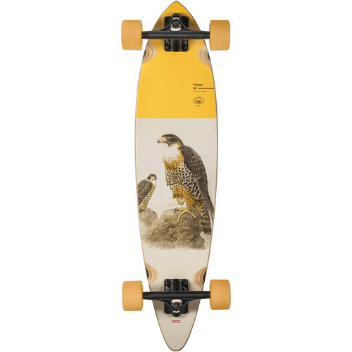 Globe longboard pintail - globe,