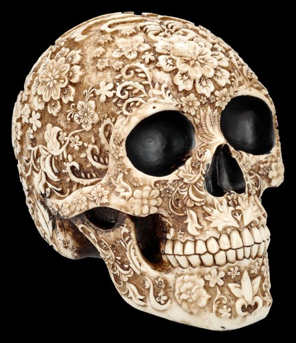 Totenkopf flower skull - totenkopf,