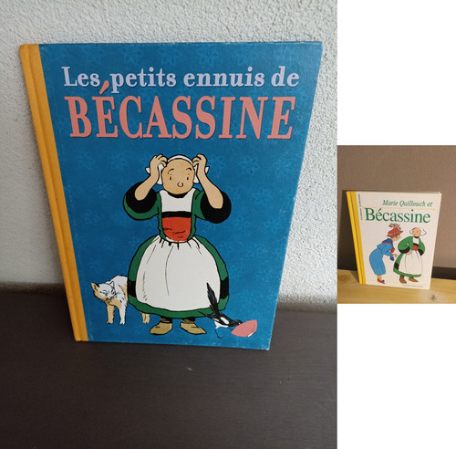 Livres les petits ennuis de - petits,