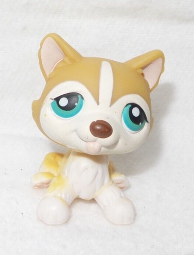 Littlest petshop pet - petshop, shop