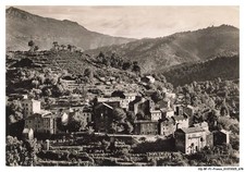 CQ-BFP1-0340-20 - OREZZA