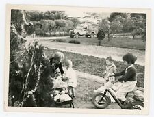 snapshot PHOTO, décoration arbre de Noël en extérieur camionnette vélo ancien