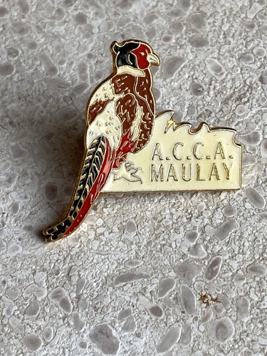 Pin a maulay - maulay, chasse
