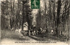 PC CHASSE A COURRE LA MEUTE EN