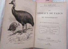 1896 - OISEAUX  DES PARCS ET