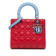 Dior Medium Tricolor Lambskin