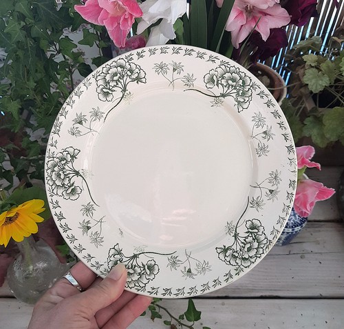 Assiette piédouche - assiette,