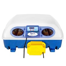 Borotto Real 49 incubateur d’œufs couveuse 49/196 automatique 💙🥚🐣