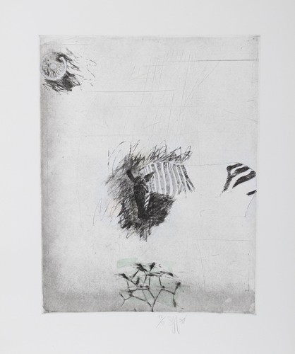 Donald saff zèbre - zèbre, (couleur)