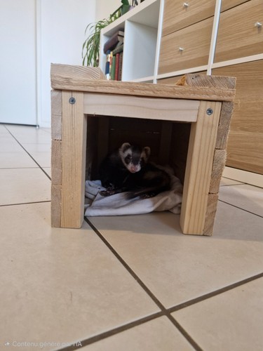 Cabane pour furet - pour, furet/tortu.