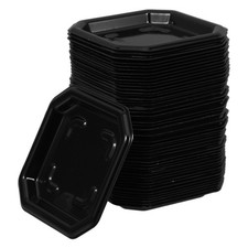  50 Pcs Plantes Soucoupe De