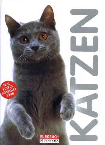 Katzen gloria stephens - gloria,