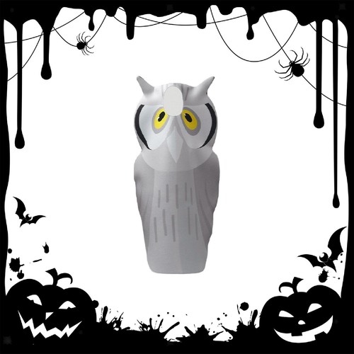 Costume hibou pour - de,