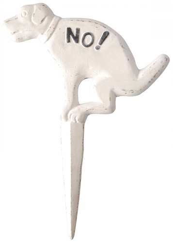 Chien non en - „, –