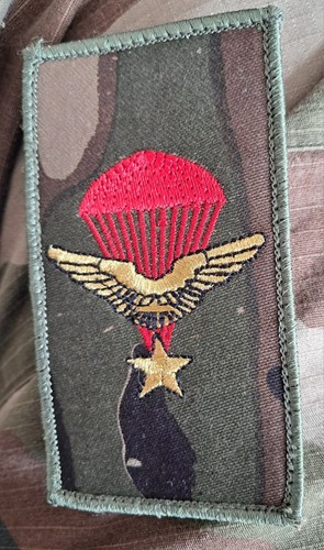 écusson militaire 1er - , rcp