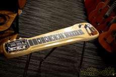 fender champion