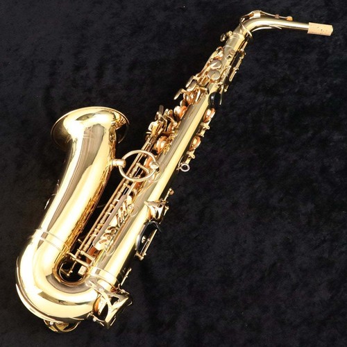 Yanagisawa alto 900 - a,