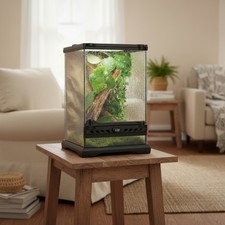 Modern Glass Terrarium for