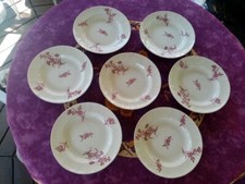 7 Assiette Creuse Terre Fer