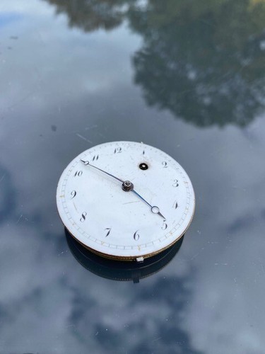 Mouvement montre coq oignon - coq,
