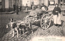 CARTE POSTALE - GIVET - ARDENNES - 08 - ATTELAGE DE CHIENS ARDENNAIS