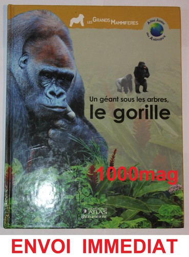 Livre collection atlas junior - livre,
