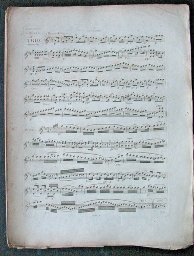 Sérénade 5em trio - in, d