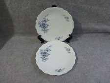 2 assiettes plates porcelaine