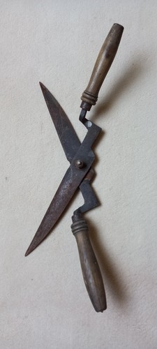 Cisaille ancienne coupe buis - cisaille,