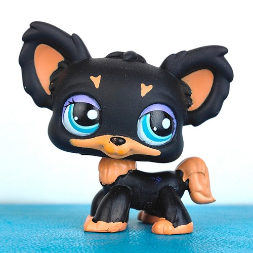 Authentic littlest pet - authentic, shop
