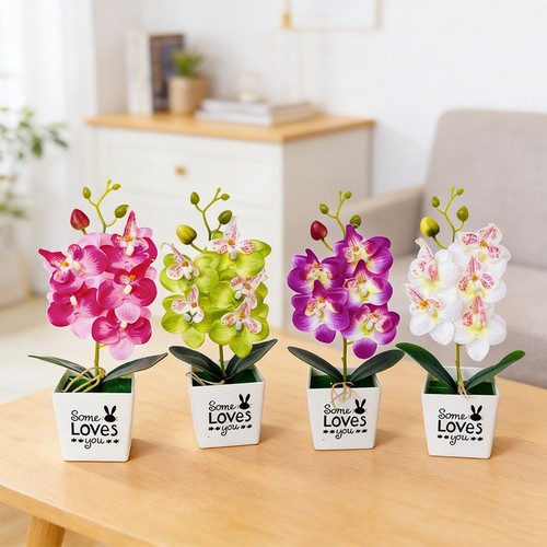 Orchidée papillon simulée