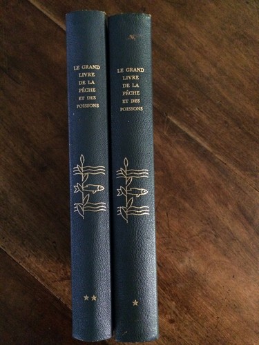 Grand livre pêche et - le,