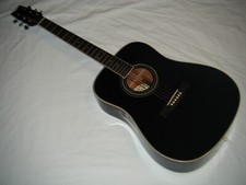George Washburn Model D10B