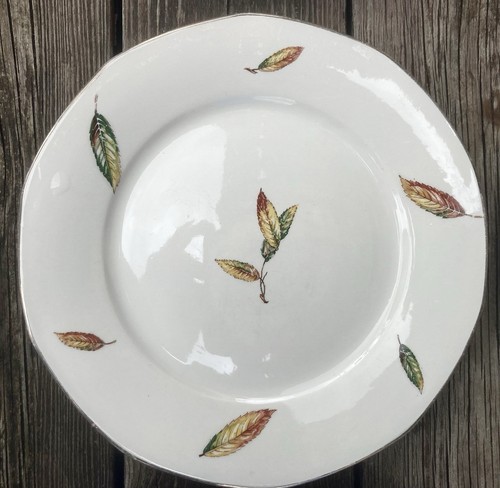 Assiettes creuses - 10,