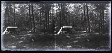 Bois Camping c1930 Photo NEGATIVE Plaque de verre Vintage VR16L7n16