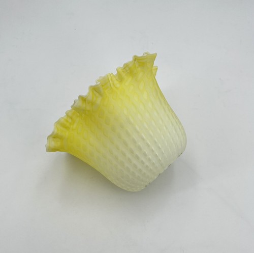 Tulipe opaline jaune pour - tulipe, en
