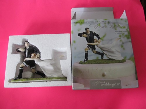 Bride tackling groom - tackling, cake