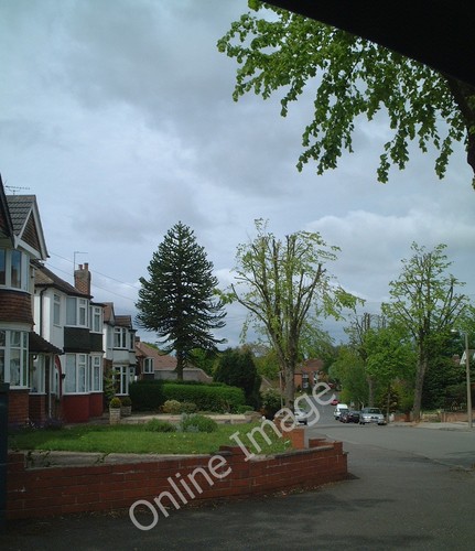 Photo 12x8 delrene road - 12x8,
