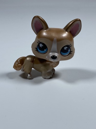 Petshop chien corgi - -,