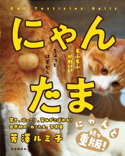 Picture book for - book, cat