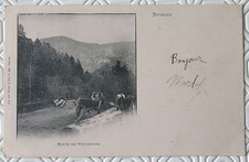 CPA 88 Bussang Route de Wesserling 1901 charette boeufs 