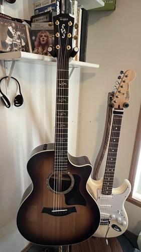 Taylor 414ce custom special - taylor,
