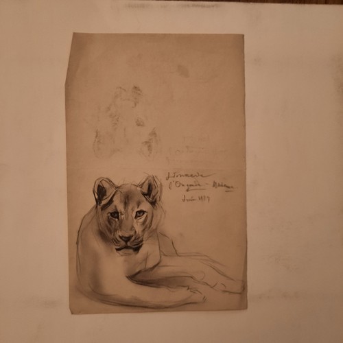 Dessin ancien animalier fond - ancien,