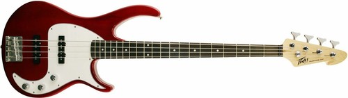 Guitare basse electrique - basse,