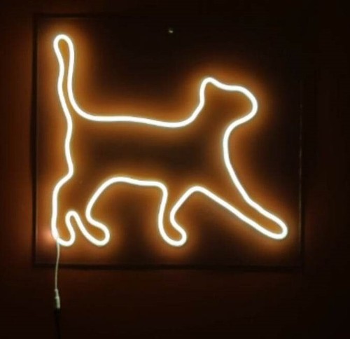 Chat néon led - , luminaire