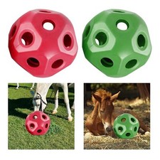 Horse Treat Ball Multipurpose