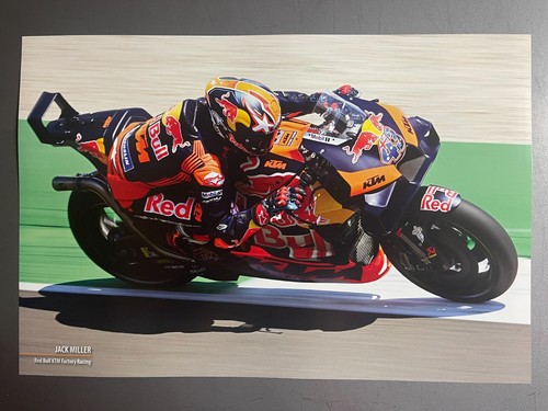 2024 jack miller red bull - red, ktm